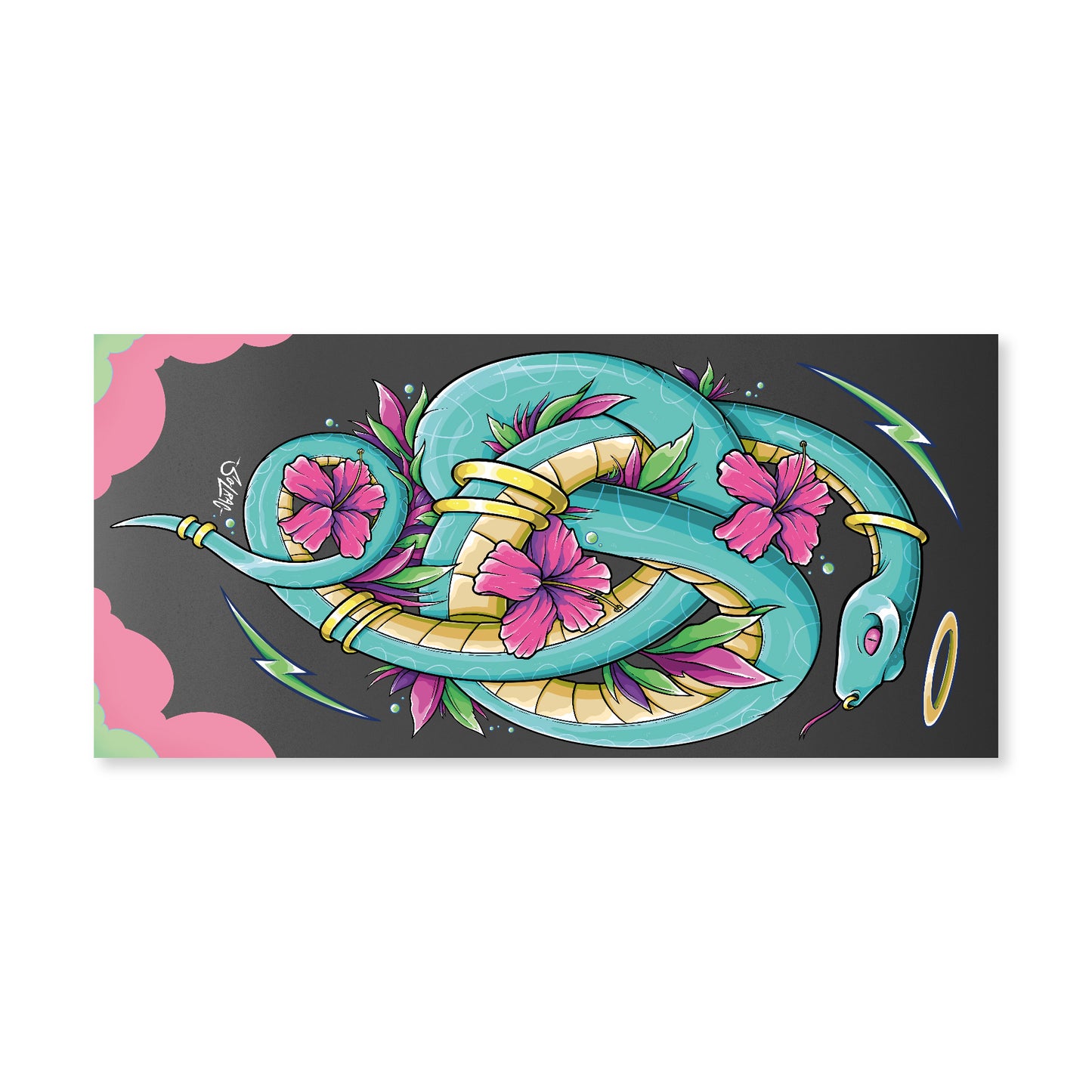 PACK PONCHO + TOALLA ILUSTRADO FLORAL BOA